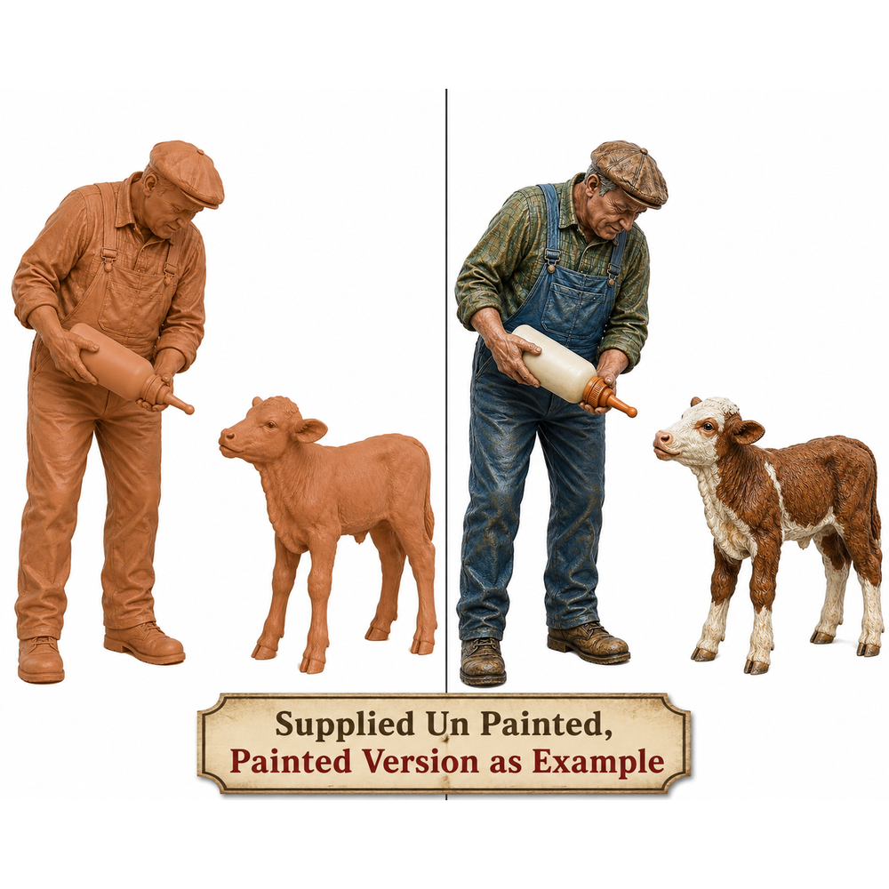 SMF9508 Farmer feeding Young Calf